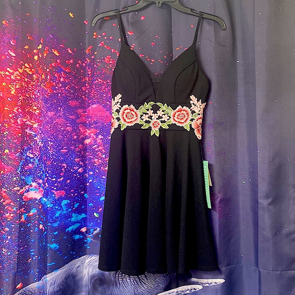 Short homecoming dress. Never Worn!